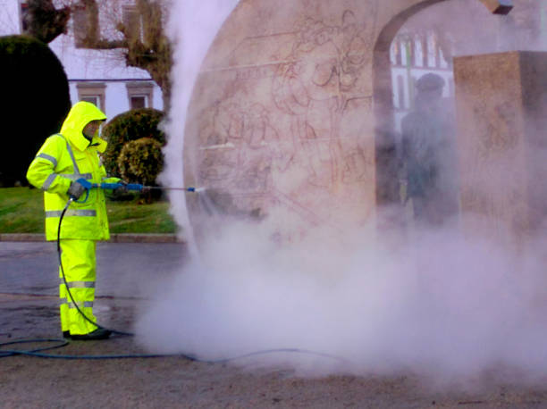 Best Pressure Washing Company Near Me  in Avoca, IA